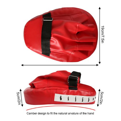 Boxing Focus Pads Training