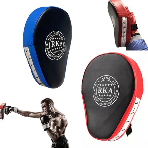 Boxing Focus Pads Training