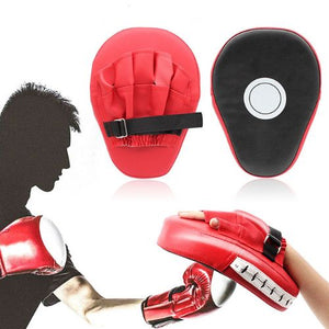 Boxing Focus Pads Training