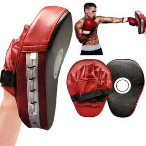 Boxing Focus Pads Training
