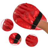 Boxing Focus Pads Training