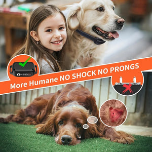 Dog training vibration collar