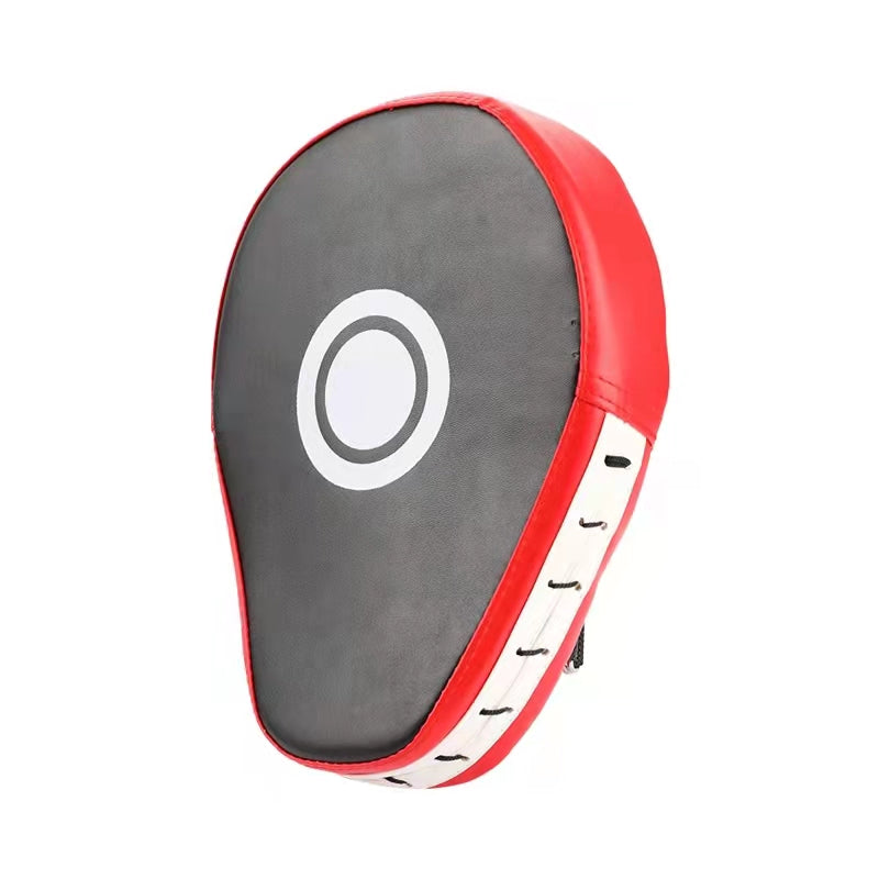 Boxing Focus Pads Training