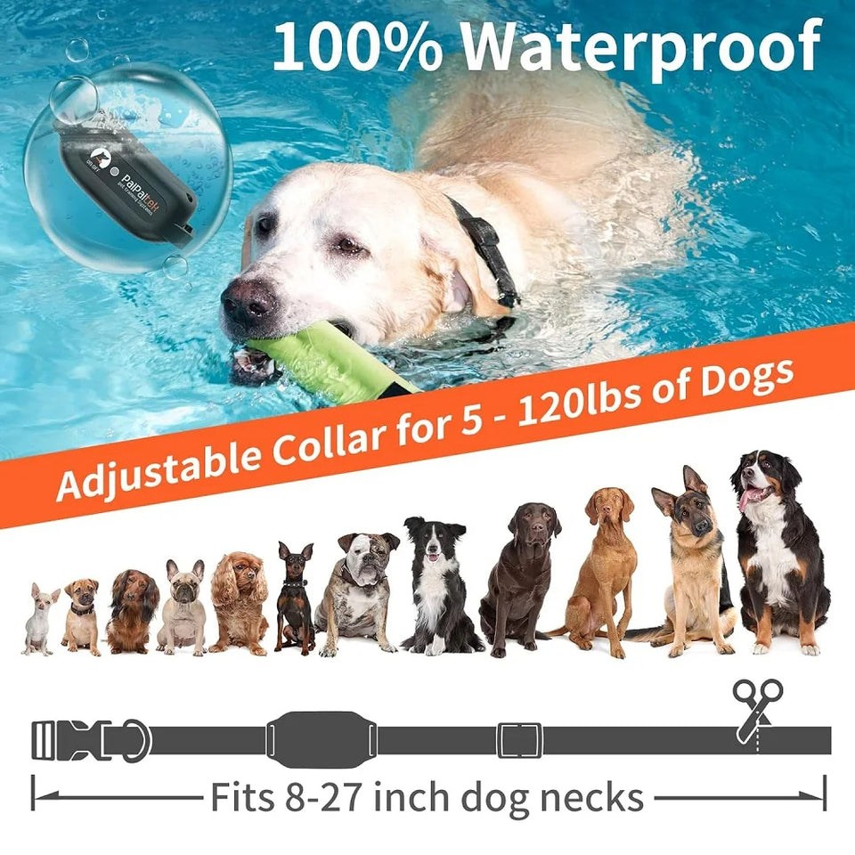 Dog training vibration collar