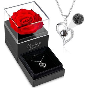 Eternal rose with necklace