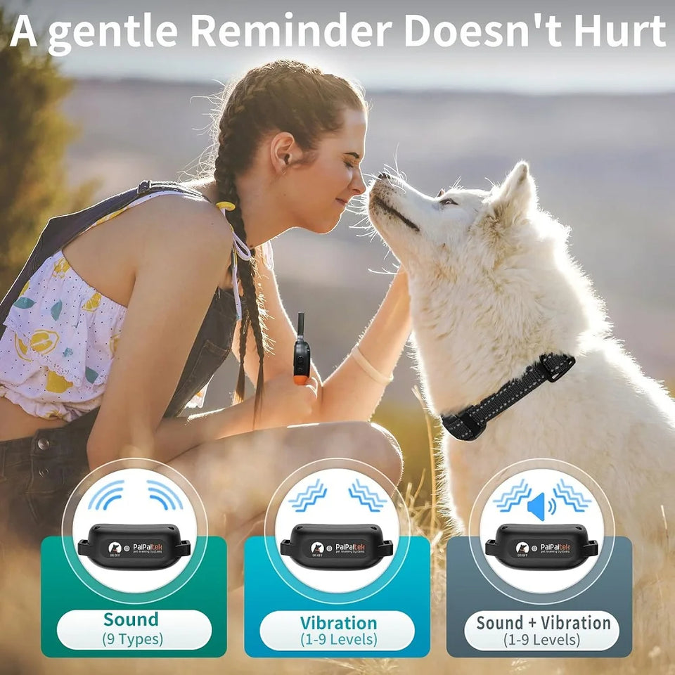 Dog training vibration collar